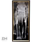 Tablou elefant