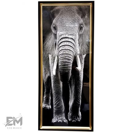 Tablou elefant