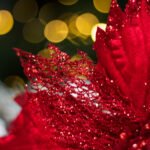 Floare decorativa pentru Craciun din catifea cu glitter, Rosie, 28 cm - imagine 3