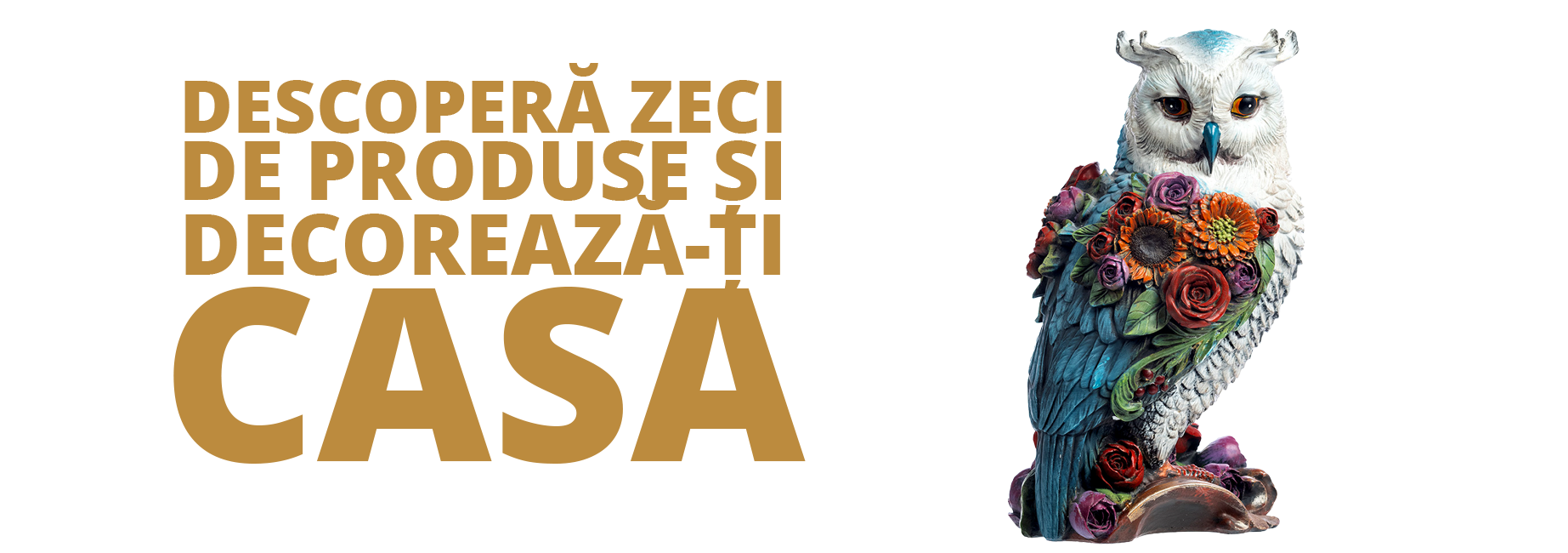 Acasa - Ezomagic