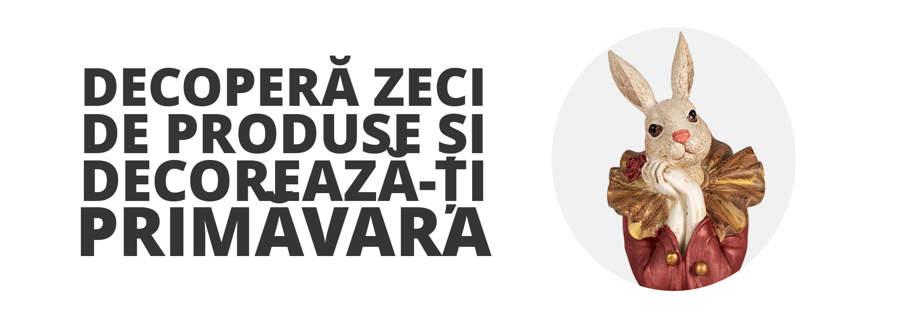 Acasa - Ezomagic